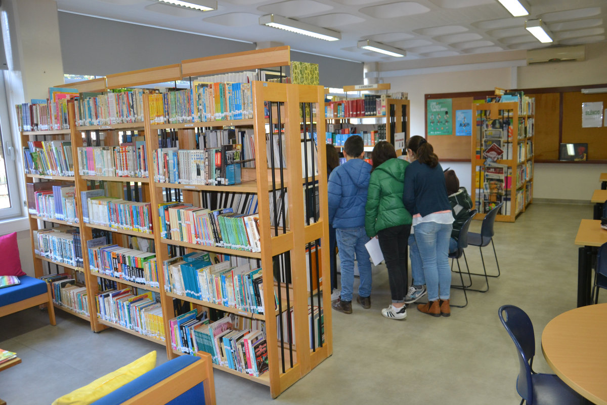 Concurso Professor Bibliotecário