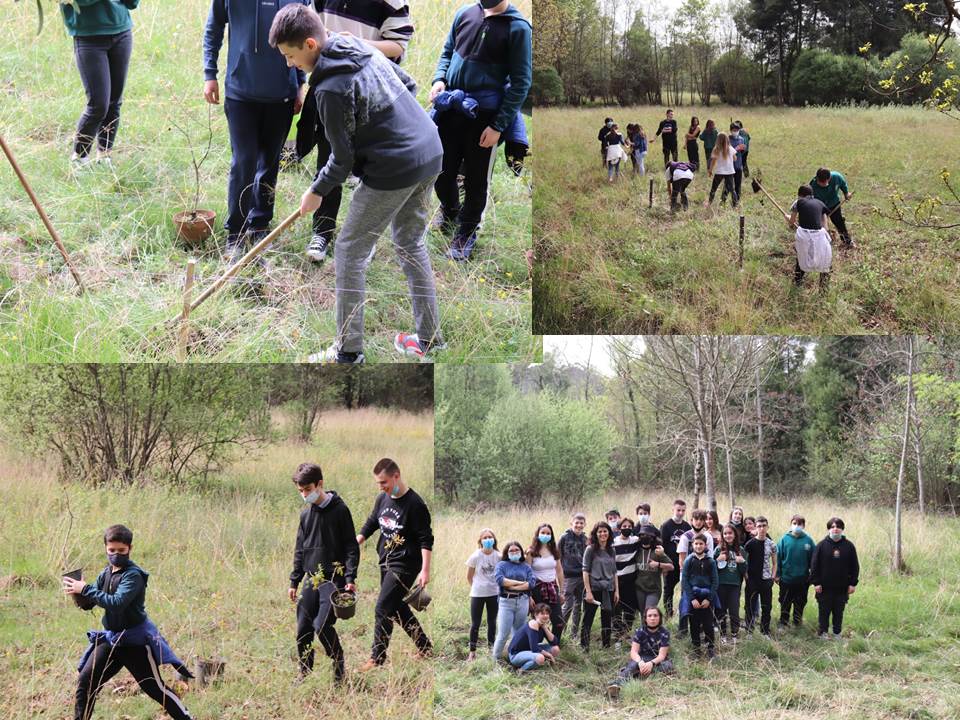 Ação de Voluntariado: Plantação de Carvalhos